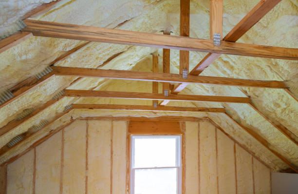 Best Residential Insulation in Brunswick, GA