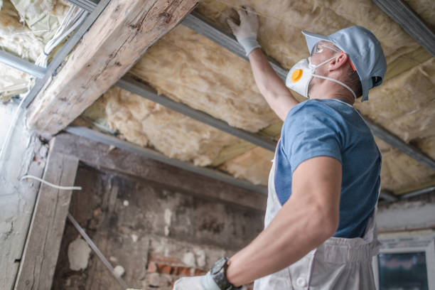 Best Insulation Maintenance and Repair in Brunswick, GA