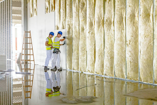 Best Insulation Installation Services in Brunswick, GA